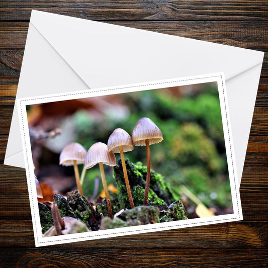 Common bonnet Fungi Greeting Card, Woodland Mushrooms Art, Nature-Inspired Stationery, Forest Life Card, Mushroom Lover Gift, Eco-Friendly