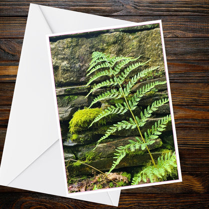 Bright Green Fern Moss Stone Wall Greetings Card – Nature Photograph (A6)