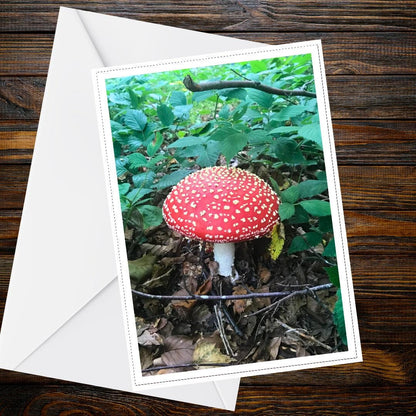 Fly Agaric Fungi Greeting Card | Woodland Mushroom Botanical Nature Card | Forest Mycology Handmade All Occasion Card
