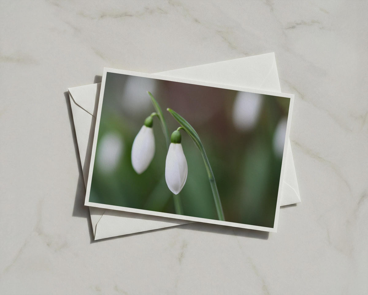 Snowdrop Flower Card, White Botanical A6 Card, Spring Garden, Blank Inside