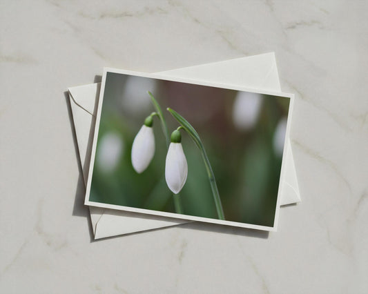 Snowdrop Flower Card, White Botanical A6 Card, Spring Garden, Blank Inside