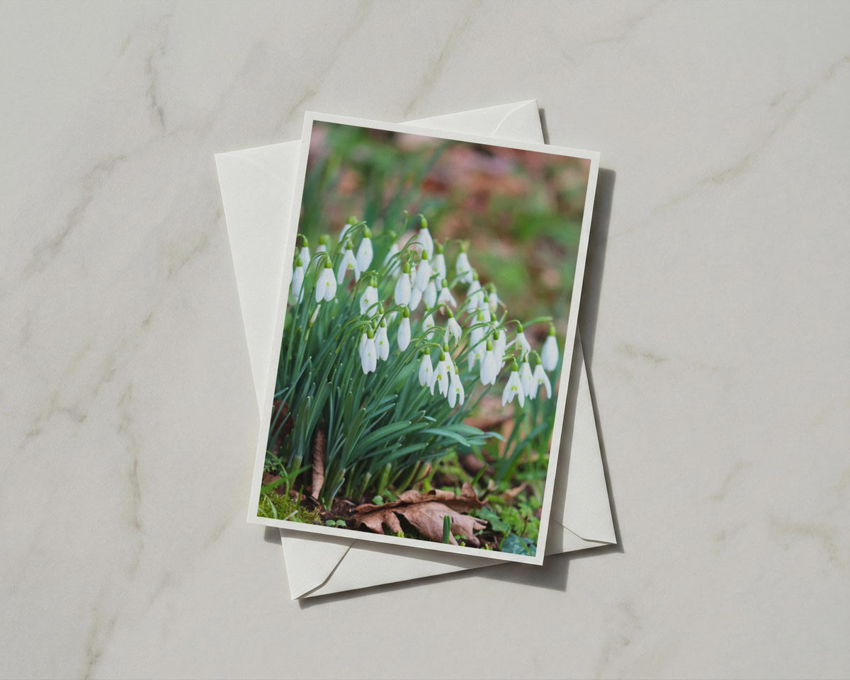 Snowdrop Flower Card, White Spring Flowers, Botanical Nature Card, Garden Gift