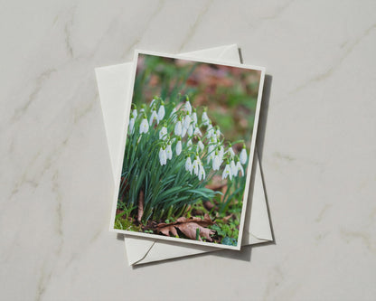 Snowdrop Flower Card, White Spring Flowers, Botanical Nature Card, Garden Gift