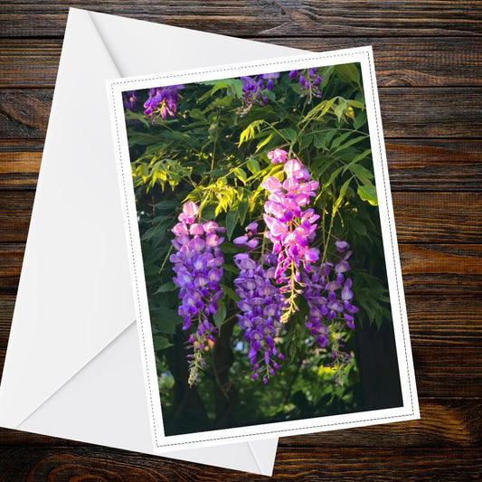 Wisteria Golden Hour Card, Floral Greeting Card with Purple Blossoms, Handcrafted UK, Nature Inspired, Blank Inside, Eco-Friendly FSC Paper