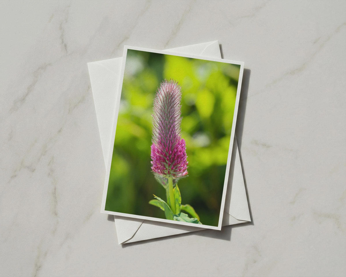 Crimson Clover Flower Card, Pink Wildflower A6 Card, Botanical Nature Card with Envelope