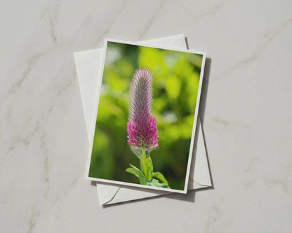 Crimson Clover Flower Card, Pink Wildflower A6 Card, Botanical Nature Card with Envelope