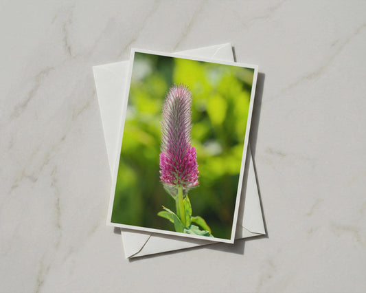 Crimson Clover Flower Card, Pink Wildflower A6 Card, Botanical Nature Card with Envelope