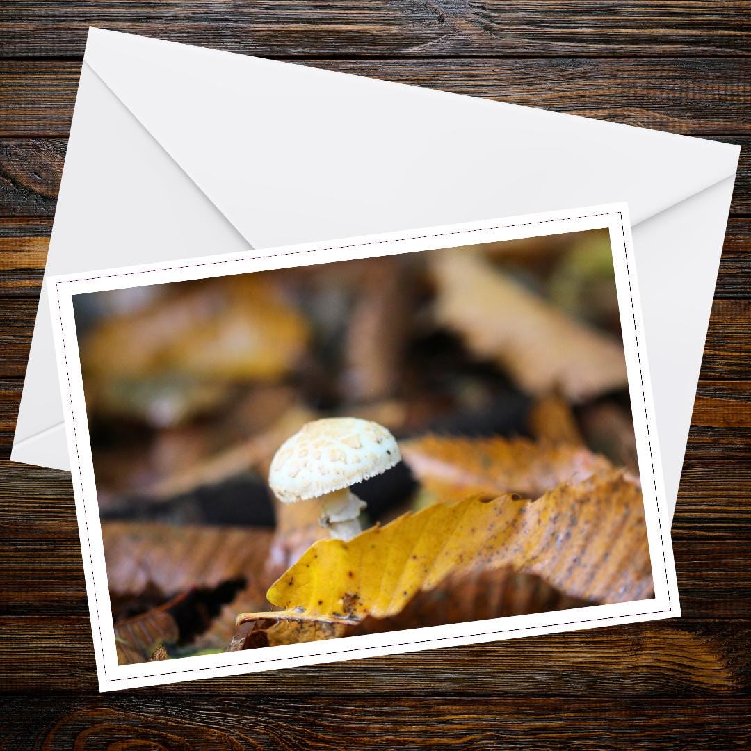 False death cap (citron amanita) Greeting Card | Woodland mushroom botanical art, nature note card, wildlife illustration, eco-friendly gift