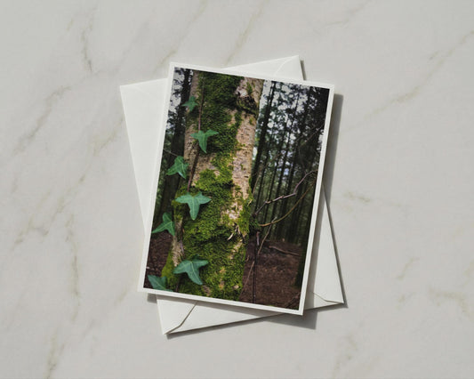 Mossy Tree Trunk Ivy Card, Forest Nature A6 Greeting Card, Woodland Green Gift