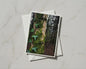 Mossy Tree Trunk Ivy Card, Forest Nature A6 Greeting Card, Woodland Green Gift