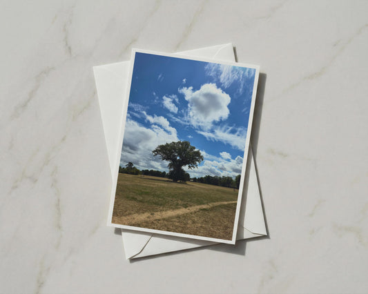 Lone Oak Tree Card, English Summer Landscape, Blue Sky Countryside A6 Greeting Card