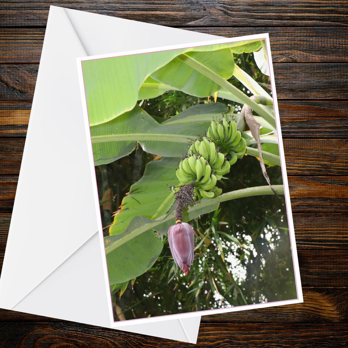 Banana Plant A6 Greetings Card - Green Bananas & Purple Blossom | Inspired by Eden Collection