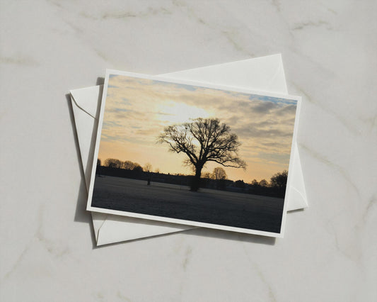 Winter Tree Silhouette Sunset Card, Dawn Dusk Landscape, Bare Oak Greeting Card