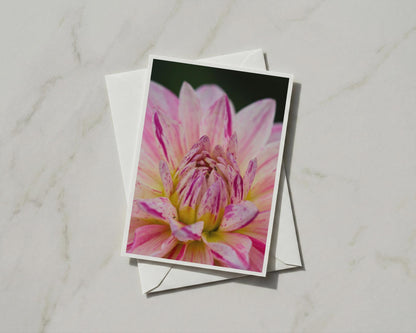 Pink Dahlia Card, Floral Greeting Card, Macro Flower Photography, Blank Inside Card