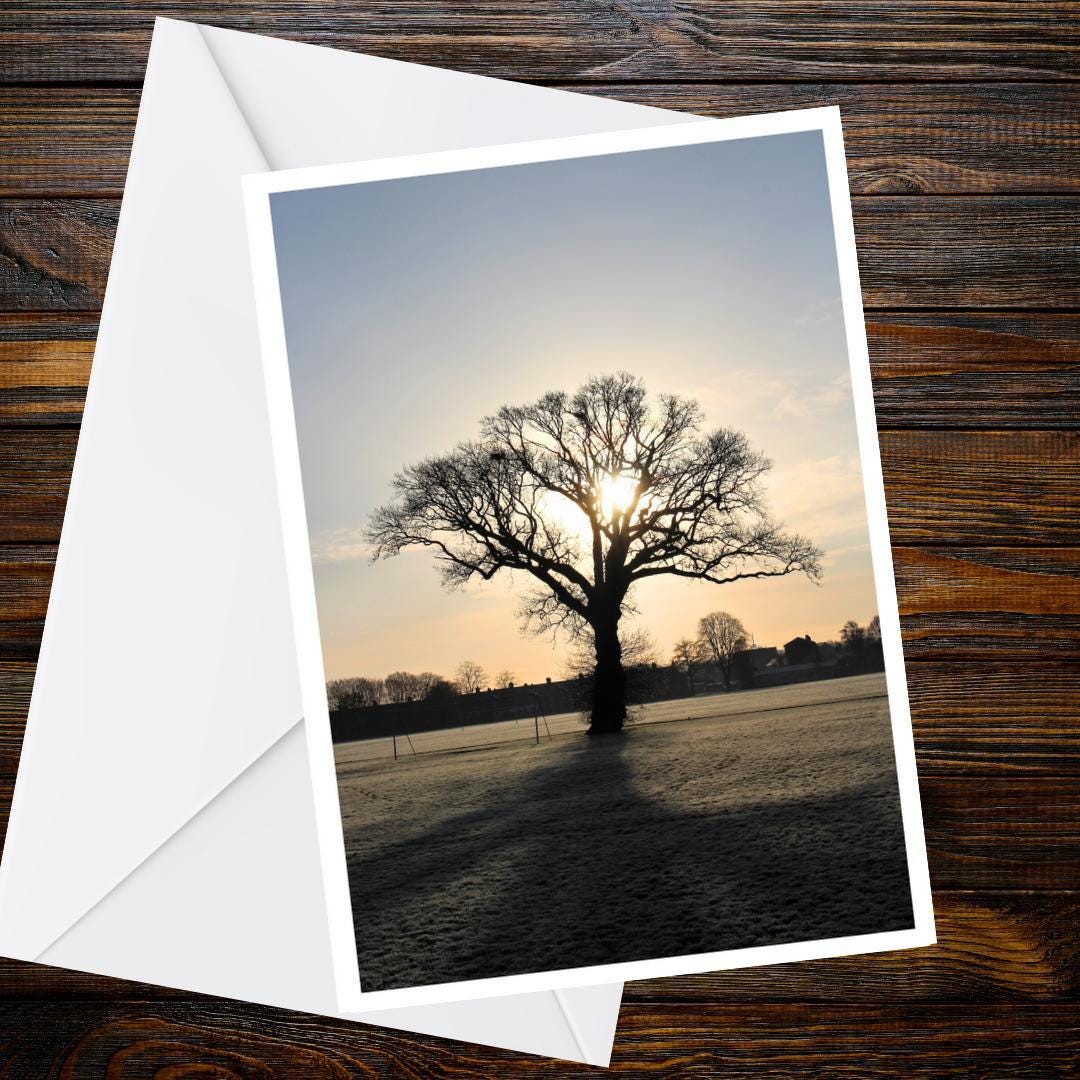 Winter Sunrise Tree Greetings Card | Frosty Morning Card | Blank Nature Greeting Card