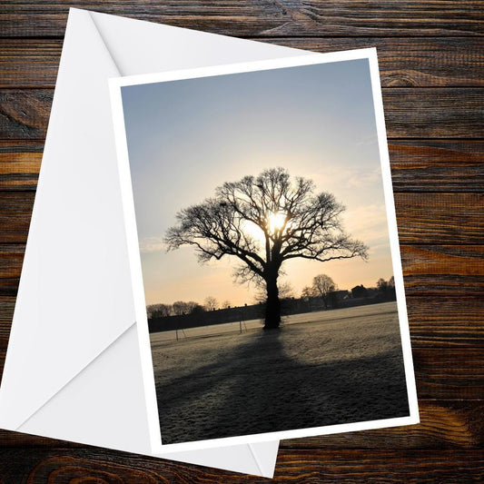 Winter Sunrise Tree Greetings Card | Frosty Morning Card | Blank Nature Greeting Card