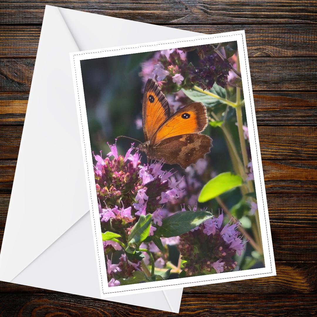Monarch-like Butterfly on Pink Flower Card | Nature Greeting, Summer Garden, Handmade UK, FSC Certified, Blank Inside, Wildlife Gift