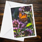 Monarch-like Butterfly on Pink Flower Card | Nature Greeting, Summer Garden, Handmade UK, FSC Certified, Blank Inside, Wildlife Gift