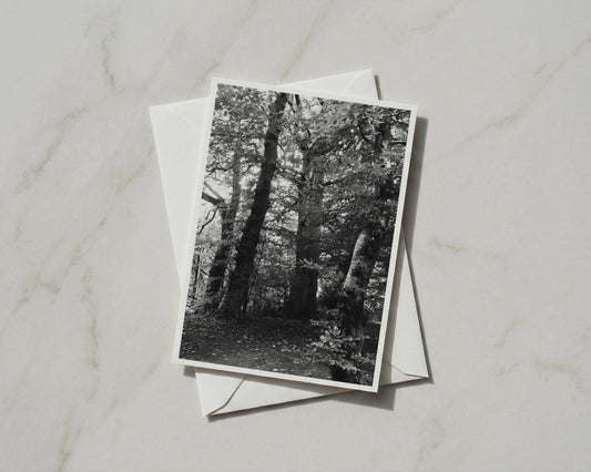 Black and White Forest Trees A6 Card, Woodland Nature Greeting Card, Monochrome Tree Photography