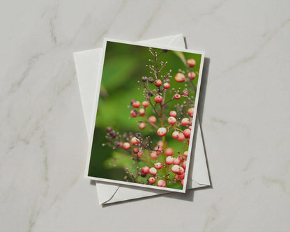 Red Berries Card, Botanical Nature Photography, Autumn Berry Branch, Green Garden Card