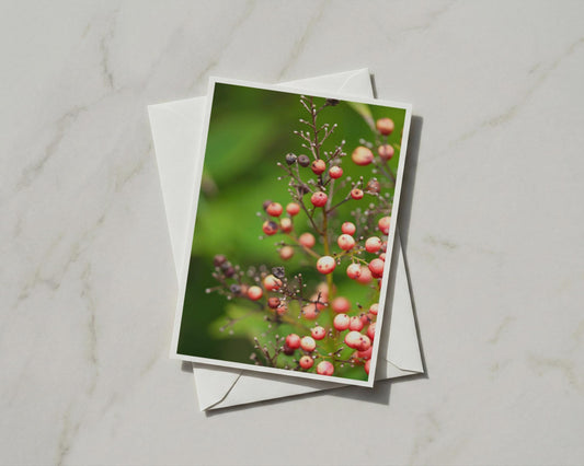 Red Berries Card, Botanical Nature Photography, Autumn Berry Branch, Green Garden Card