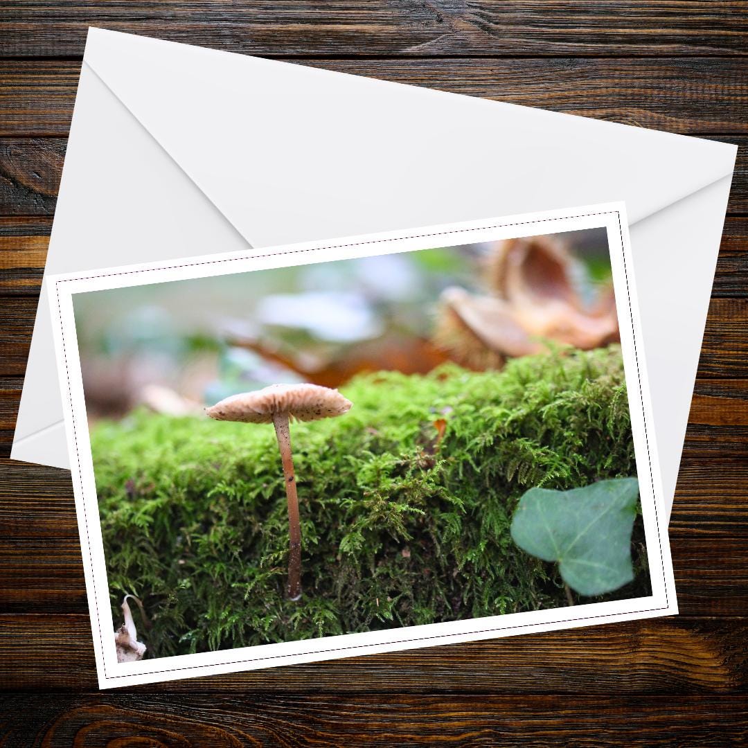 Common Bonnet Mushroom Greeting Card | Woodland Nature Fungi Art | Handmade Eco-Friendly Stationery for Mushroom Lovers & Garden Enthusiasts