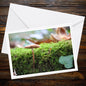Common Bonnet Mushroom Greeting Card | Woodland Nature Fungi Art | Handmade Eco-Friendly Stationery for Mushroom Lovers & Garden Enthusiasts