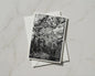 Black and White Forest Card, Woodland Trees Greeting Card, Nature Photography, A6