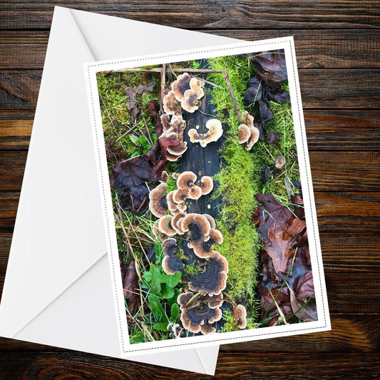 Turkey Tail Fungi Greeting Card, Nature Mushroom Botanical Woodland Forest Card, Handmade All Occasion Eco-Friendly Gift