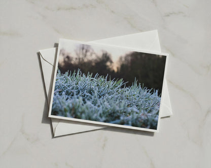 Frosty Grass Card, Winter Nature Photography, Icy Morning A6 Card with Envelope
