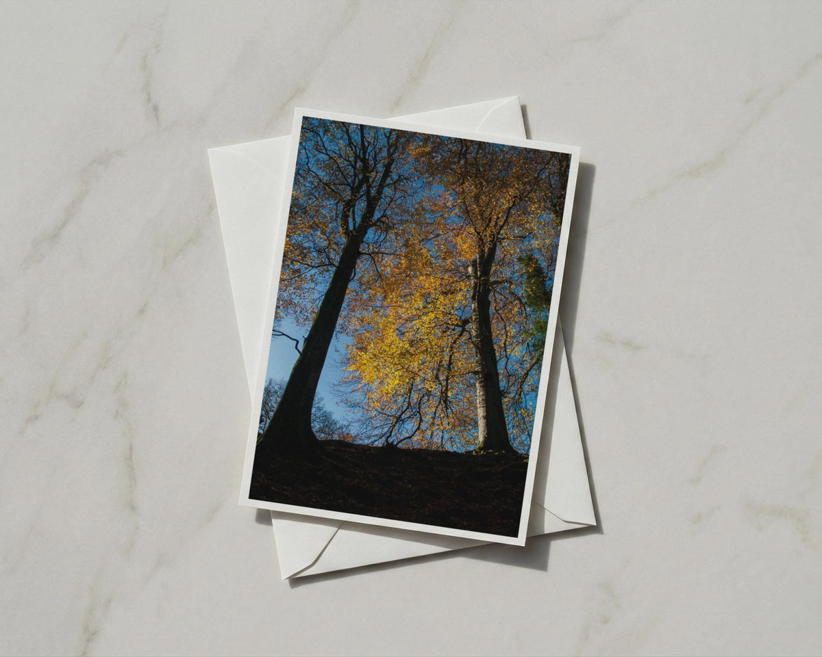 Autumn Trees Greeting Card, Golden Leaves Blue Sky, Forest Nature A6 Card