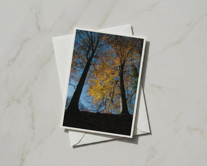 Autumn Trees Greeting Card, Golden Leaves Blue Sky, Forest Nature A6 Card