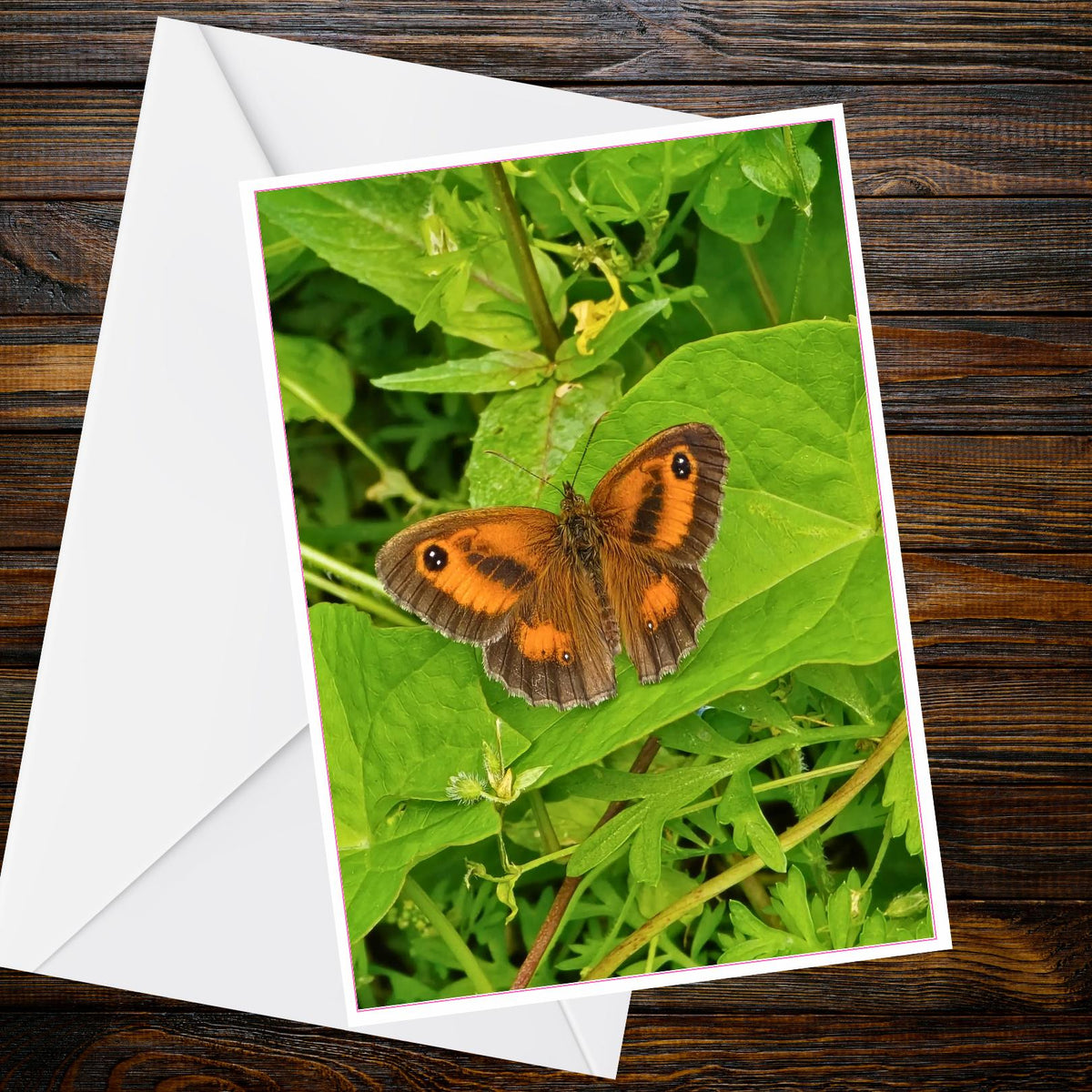 Gatekeeper butterfly A6 Greetings Card – Orange-brown Eyespots on Green Leaves | Butterfly Collection