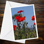 Red Poppies Greeting Card A6 - Summer Flower photo (low-angle blue sky)