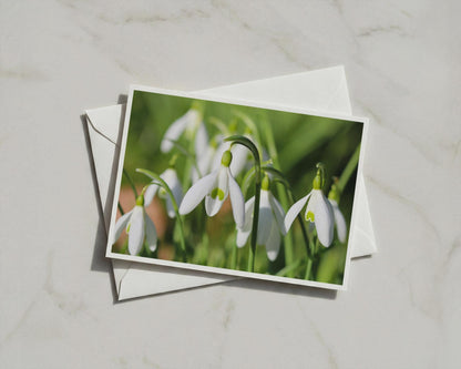 Snowdrop Flower Card, Spring Garden Photography, White Green Floral A6 Greeting Card