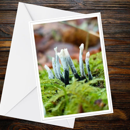 Candlesnuff Fungus Greeting Card | Unique Fungi Illustration | Woodland Nature Card | Botanical, Mycology, Wildlife, All Occasion Card