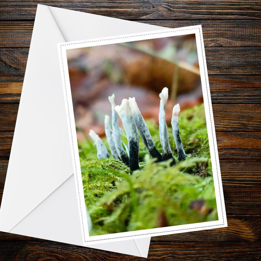 Candlesnuff Fungus Greeting Card | Unique Fungi Illustration | Woodland Nature Card | Botanical, Mycology, Wildlife, All Occasion Card
