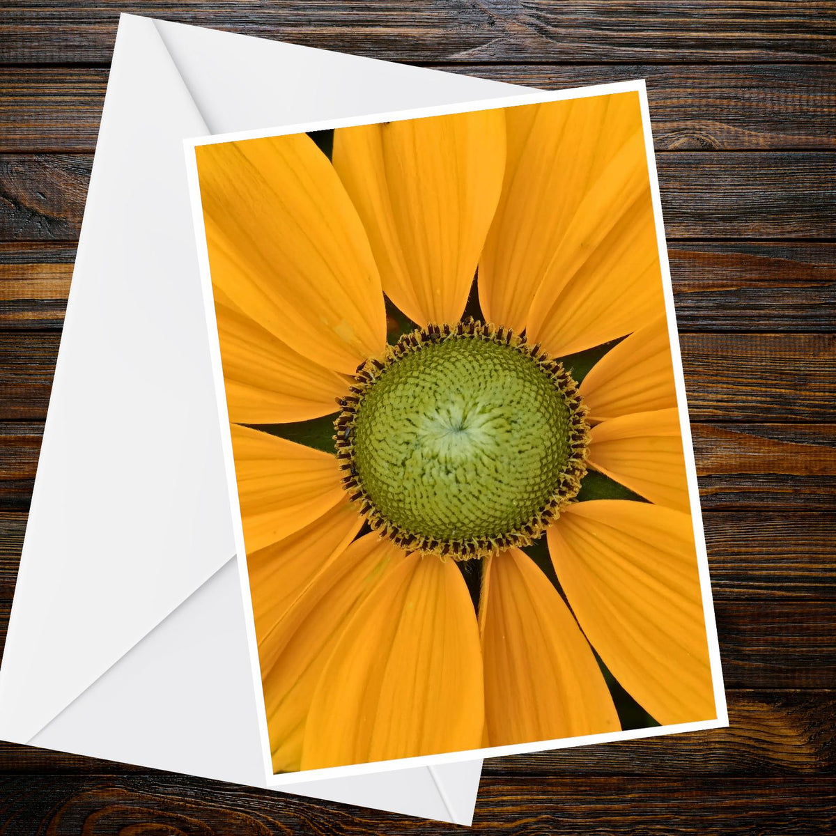 Yellow Rudbeckia A6 Greeting Card – Sunflower-style Flower Macro Photo, Blank Inside | Nature Photography