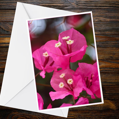 Hot-Pink Bougainvillea with Cream-White Flowers Macro Photo A6 Greetings Card | Inspired by Eden Collection