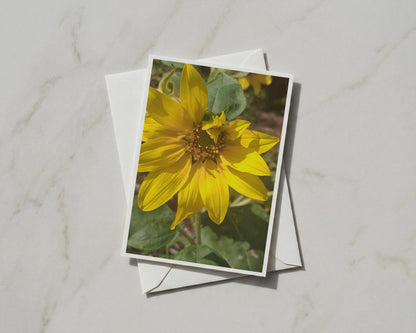Sunflower A6 Card, Yellow Flower Greeting Card, Blank Inside, Summer Garden Card