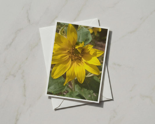 Sunflower A6 Card, Yellow Flower Greeting Card, Blank Inside, Summer Garden Card