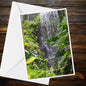 Eden Project Tropical Waterfall Greetings Card – Ferns, Purple Flowers, A6 Blank Card