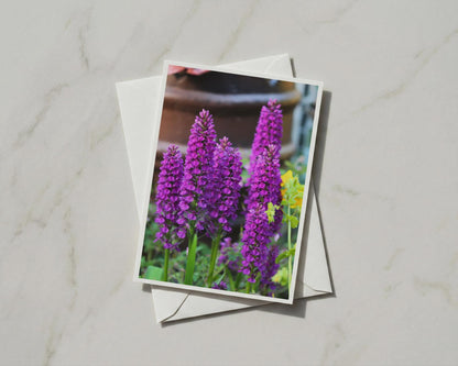 Purple Orchid Flower Card, Wild Orchid Greeting Card, Botanical Garden, A6 Card
