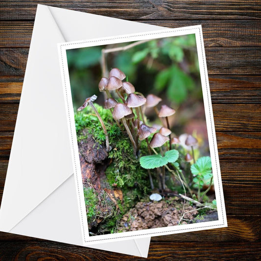 Fairy Inkcap Fungi Greeting Card | Botanical Woodland Nature Card | Mushrooms & Mycology Design | FSC Certified Handcrafted Card
