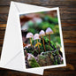 Common Bonnet Fungi Greeting Card | Nature Mushroom Botanical Woodland Forest Wildflower Illustration | FSC Certified Handmade All Occasions