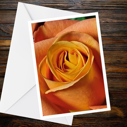 Peach Apricot Rose A6 Greeting Card – Macro Rose Photo | Summer Flower Collection