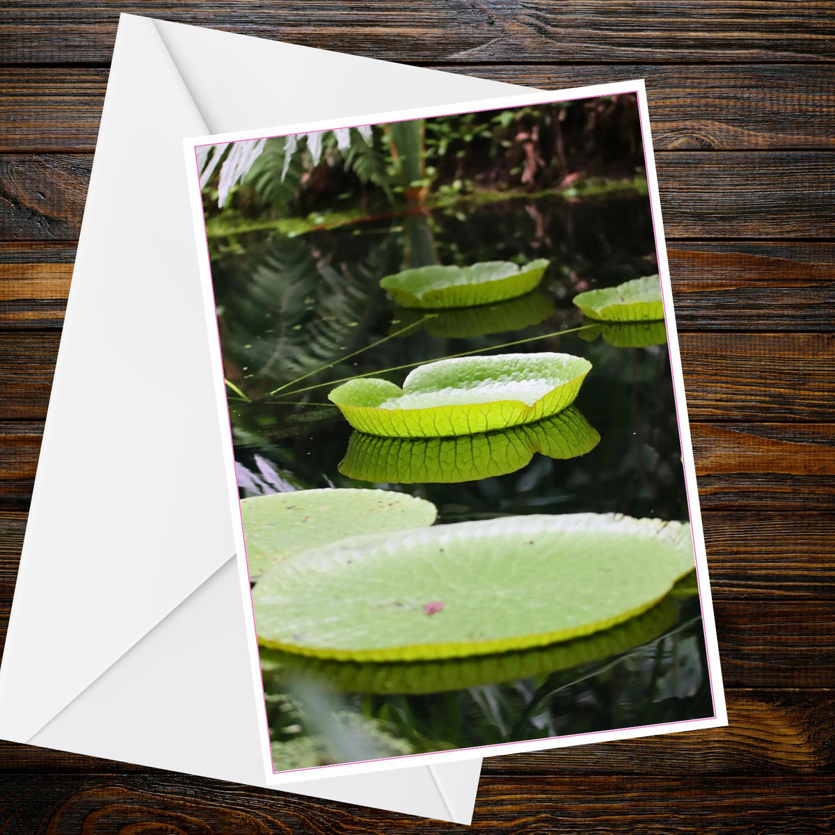 Giant Amazonian Water Lily Pads A6 Greetings Card - Tropical Botanical Photo, Dark Water, Inspired by Eden Collection