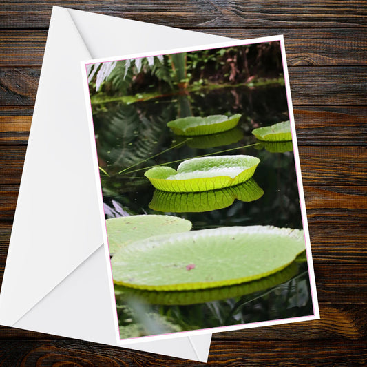 Giant Amazonian Water Lily Pads A6 Greetings Card - Tropical Botanical Photo, Dark Water, Inspired by Eden Collection