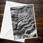 Black and White Fern Photo A6 Card – Stone Wall Texture, Eden Collection