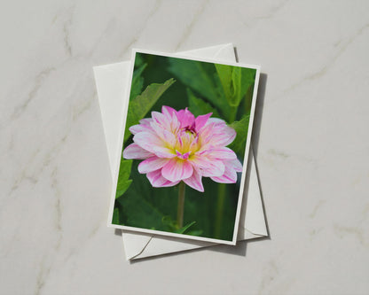 Pink Dahlia Flower Card, Botanical Garden Card, Floral Greeting Card, A6 Card